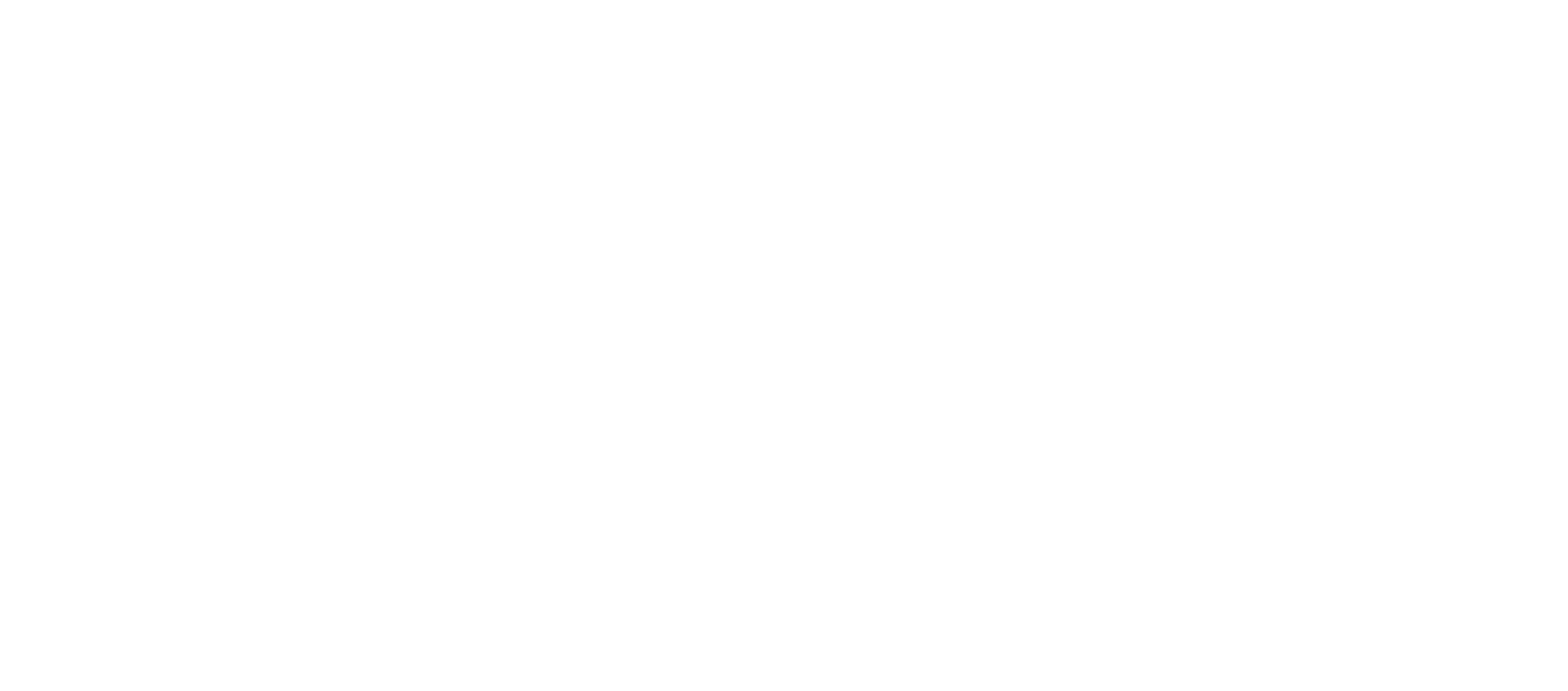 Ray Vietii Logo